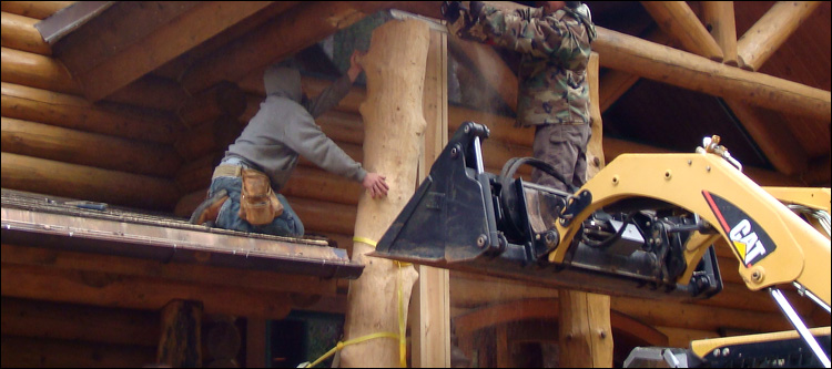 Log Home Log Replacement  Montgomery County, Alabama